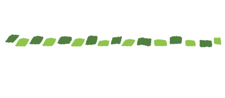 Bella Terra Landscapes logo