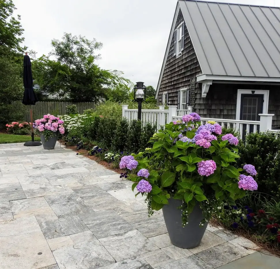 Paver patio bordered by hydrangeas and seasonal containers