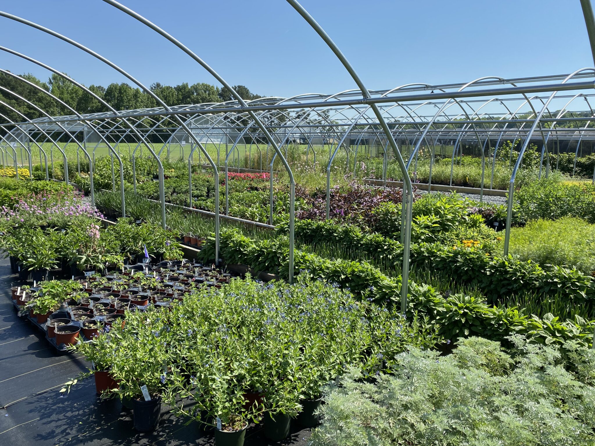 Garden Center Bella Terra Landscapes