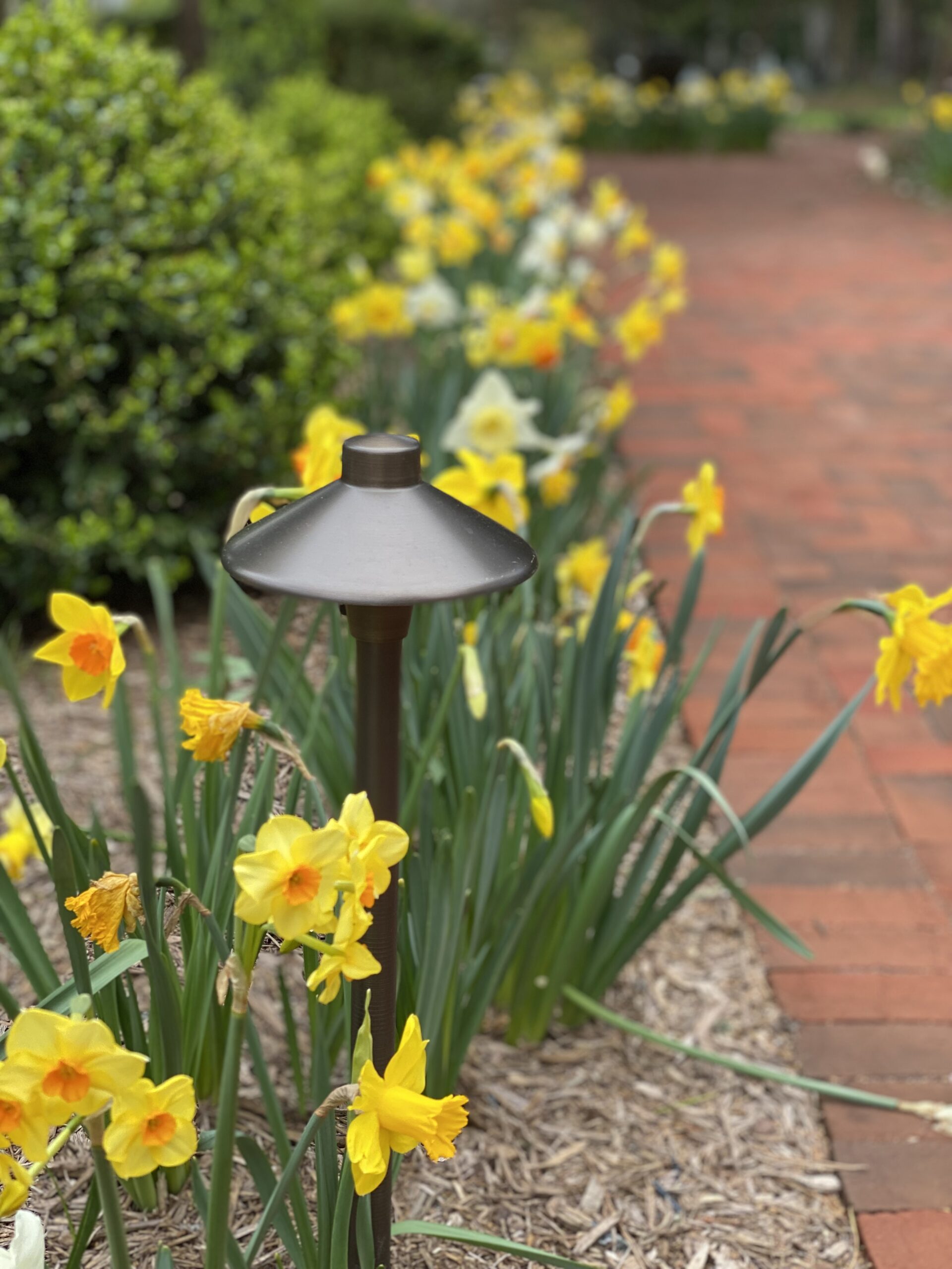 Portfolio Landscape Lighting Bella Terra Landscapes