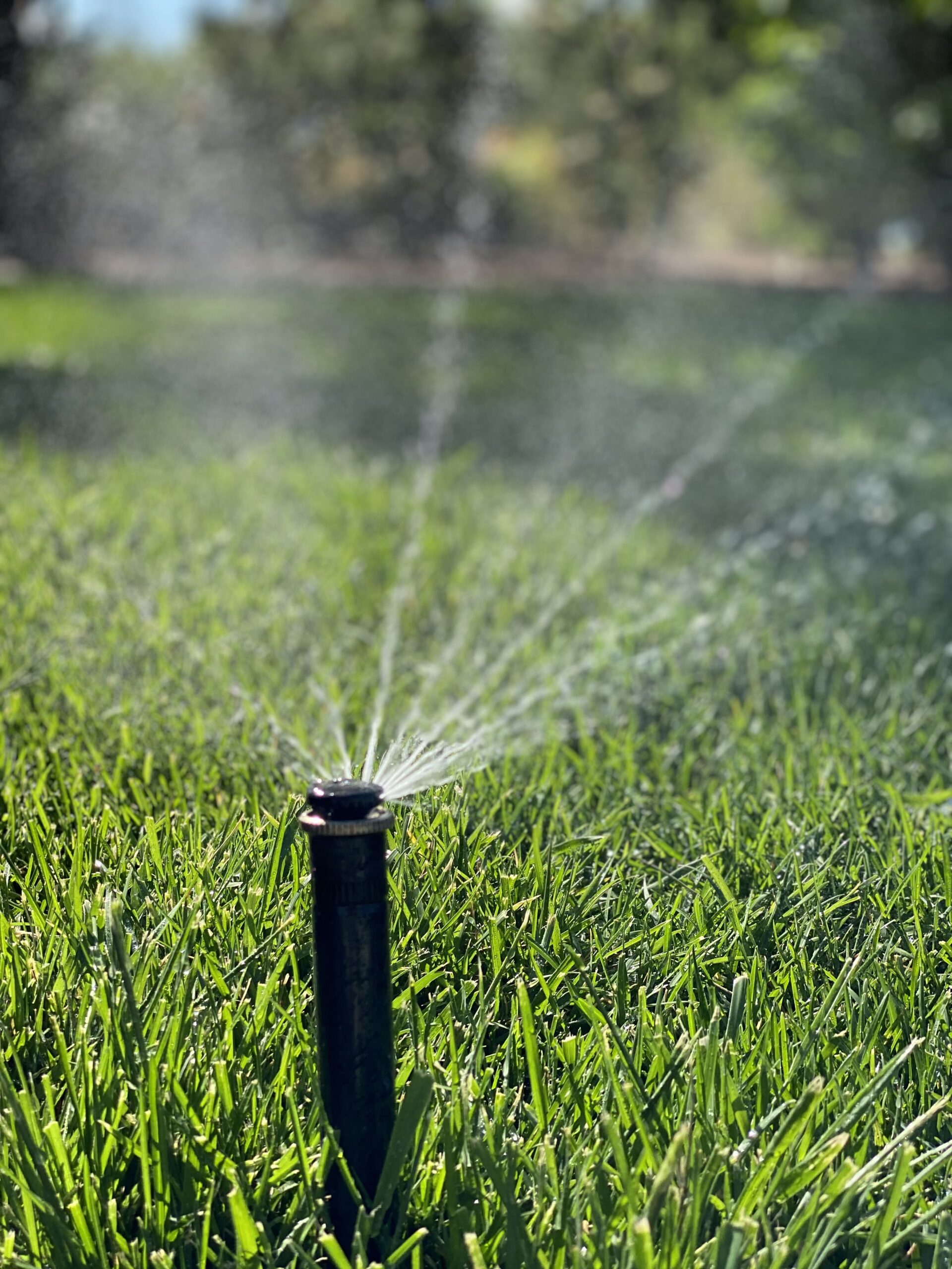 Pricing Bella Terra Landscapes