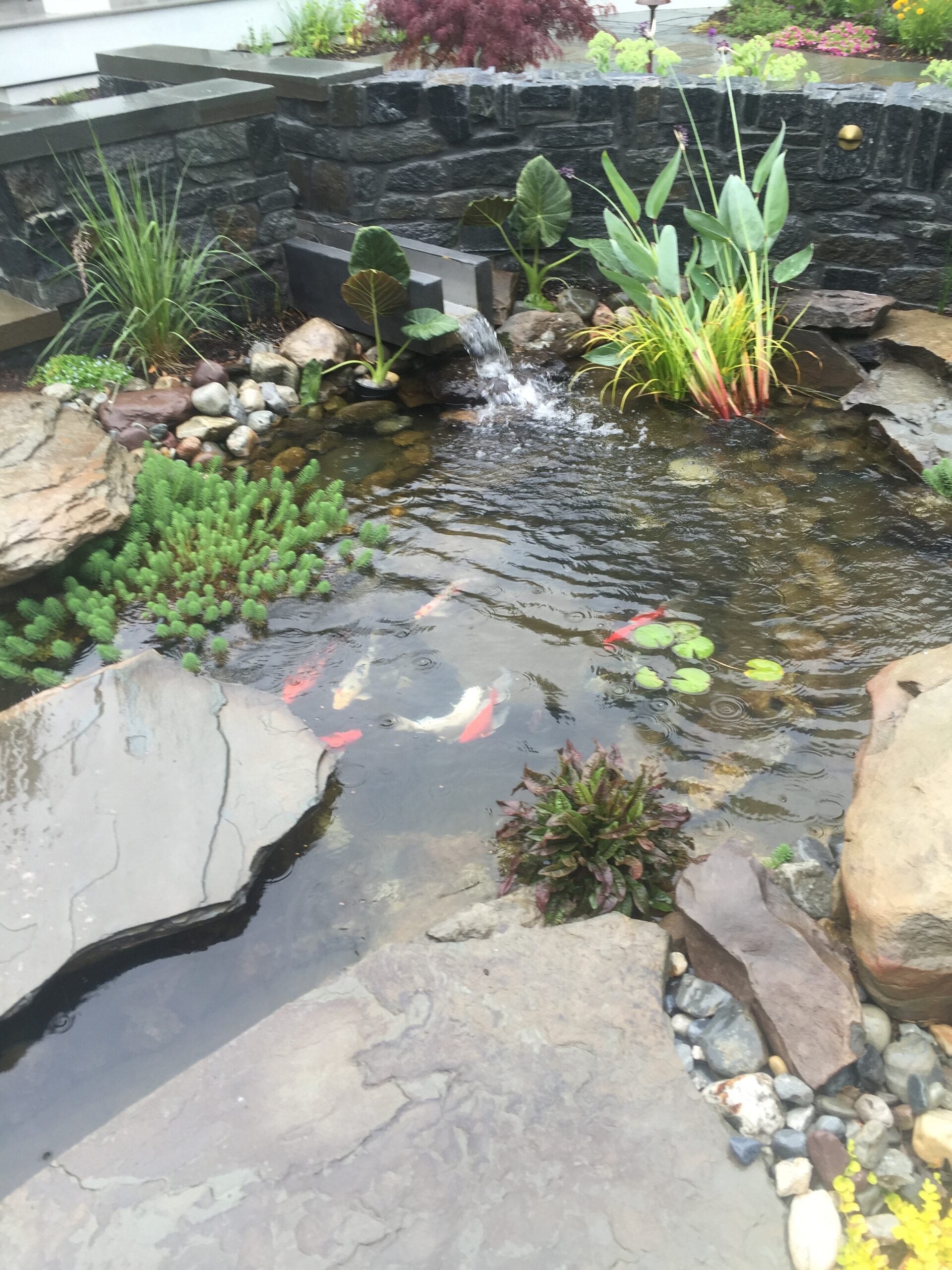 Bella Terra water feature design
