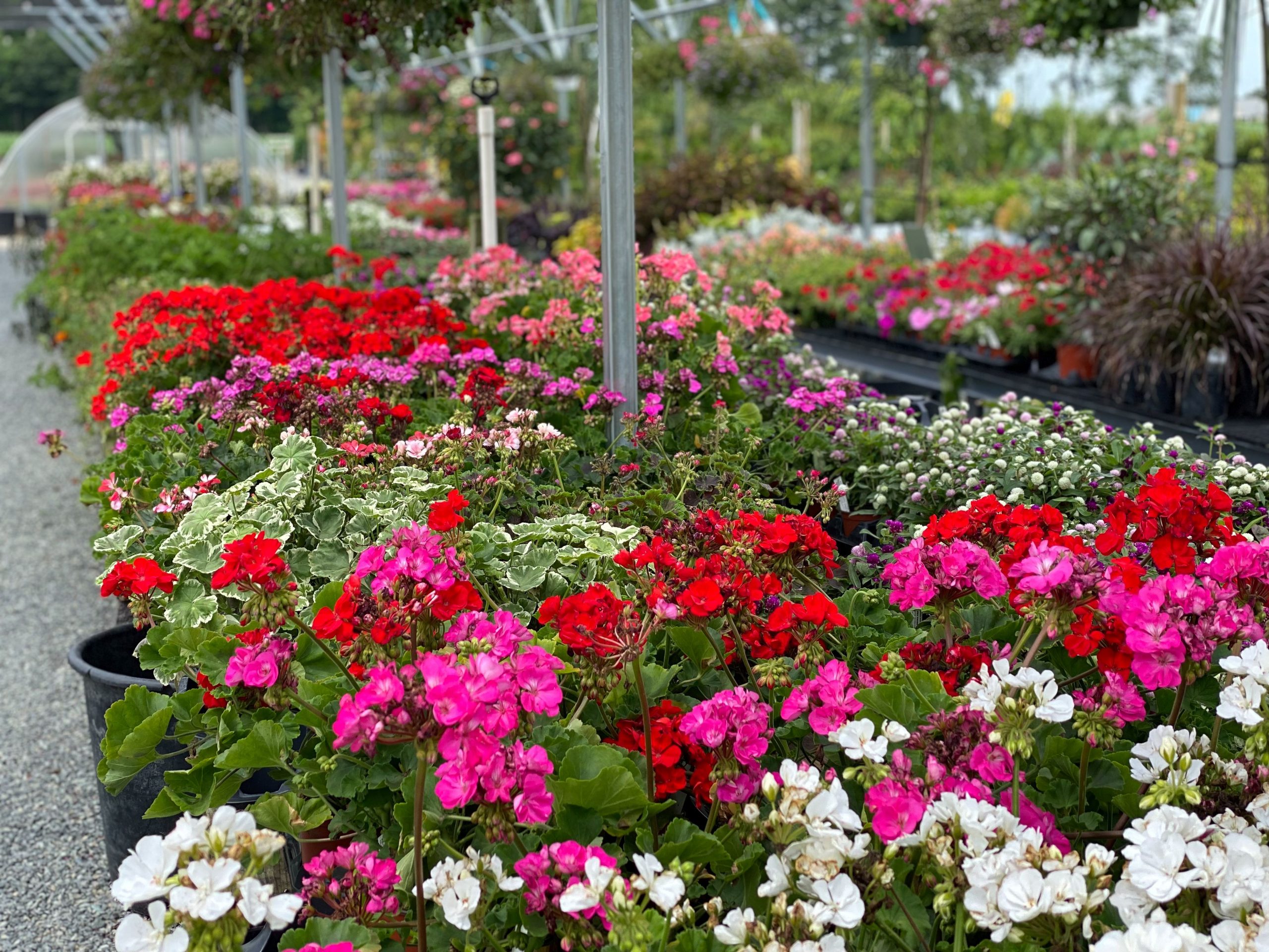 Garden Center at Bella Terra