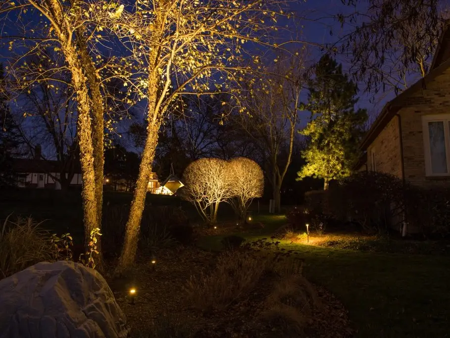 Trees and garden planting highlighted with warm lighting at night
