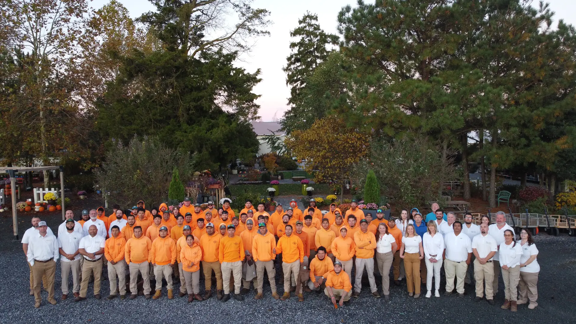 Bella Terra team
