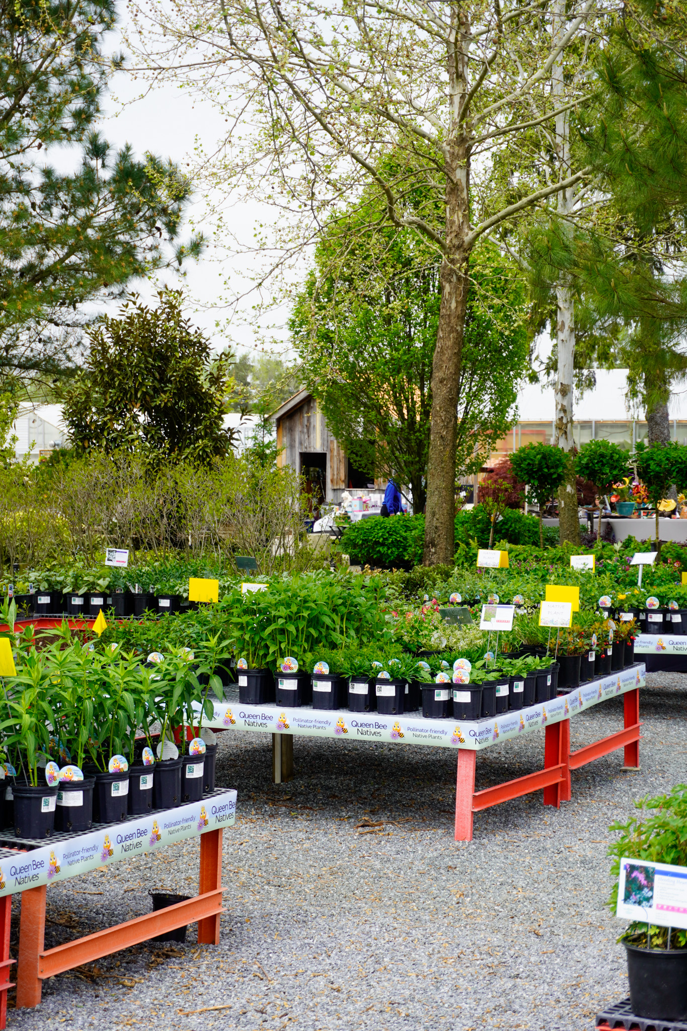 Plants and seasonal color at Bella Terra Garden Center