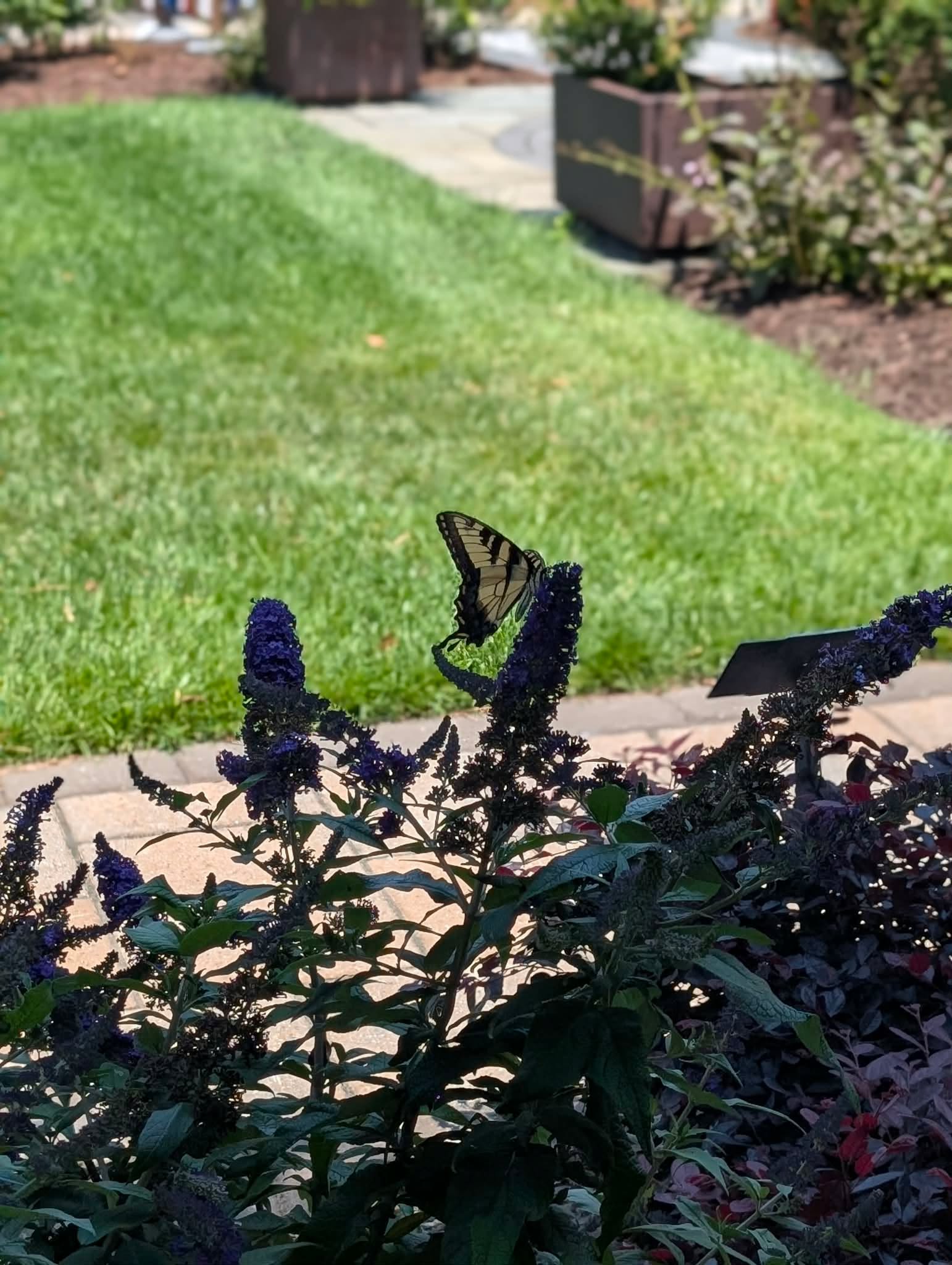 Garden Center