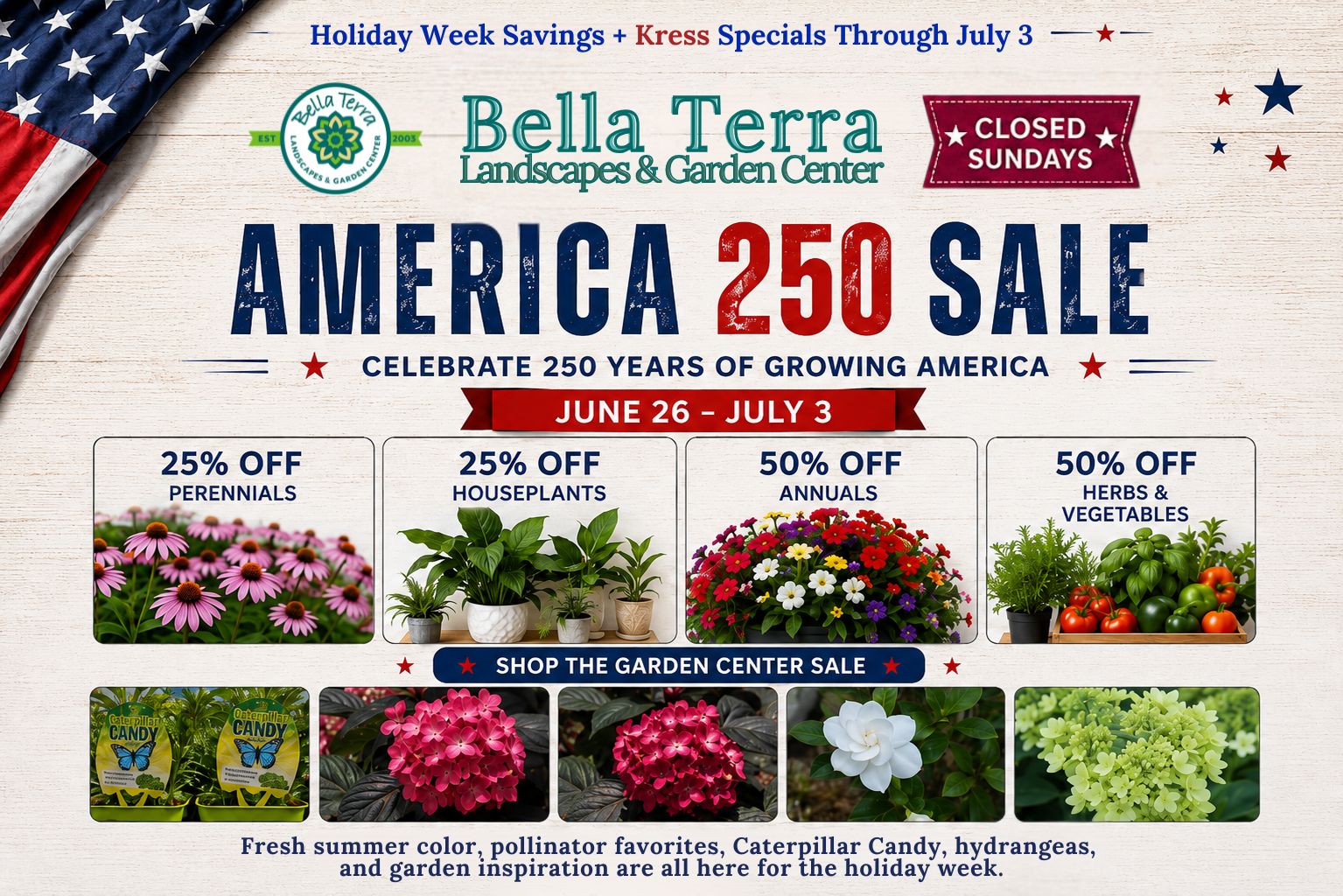 Bella Terra America 250 Sale