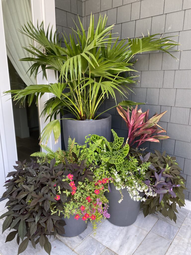 Planted container inspiration for entrances and outdoor gatherings