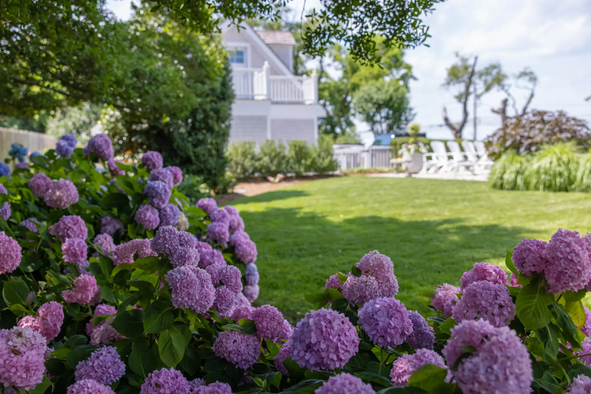 Bella Terra landscape project in Historic Lewes